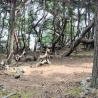 images/Schweden/Schweden 2009/IMG_4481.jpg